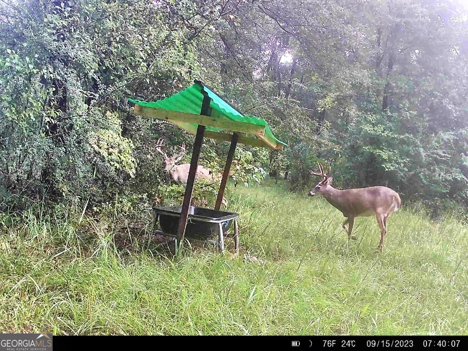 0 River Lane Juliette, GA 31046 - Photo 6 of 38 a backyard of a house with table and chairs