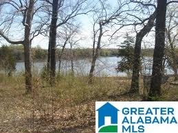 190 Castaway Road, Unit LOT 190 Sylacauga, AL 35151 - Photo 4 of 6