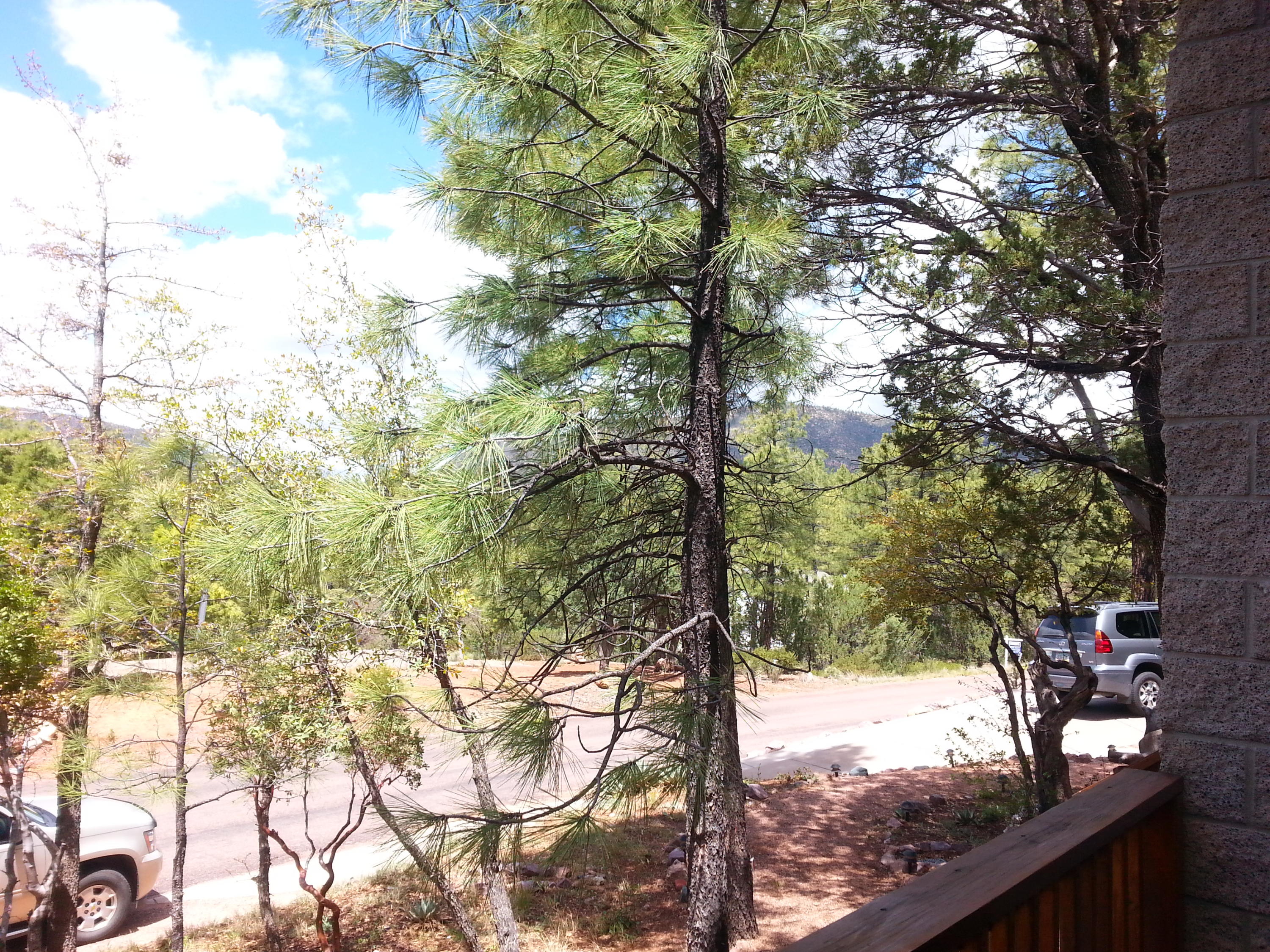 3789 Whispering Pines Road Pine, AZ 85544 - Photo 29 of 37 Gallery Image 29