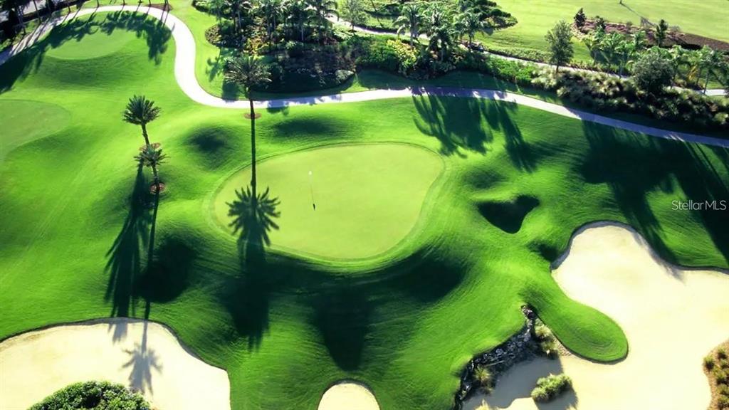 545 Ocean Course Avenue, Unit 545 Davenport, FL 33896 - Photo 29 of 32 a view of a swimming pool with a yard and green space