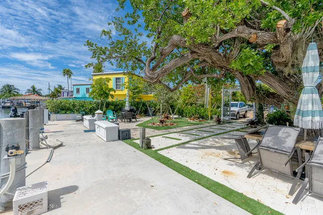 a view of a backyard with plants and a patio