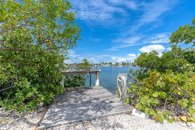 a view of a backyard with swimming pool