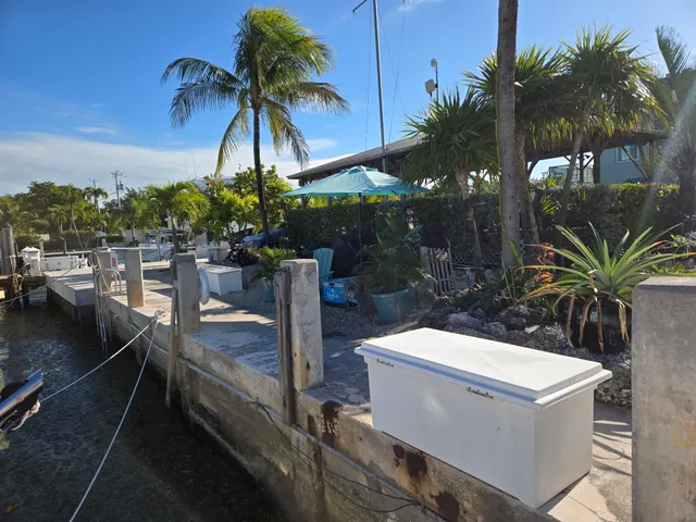a view of a backyard with plants