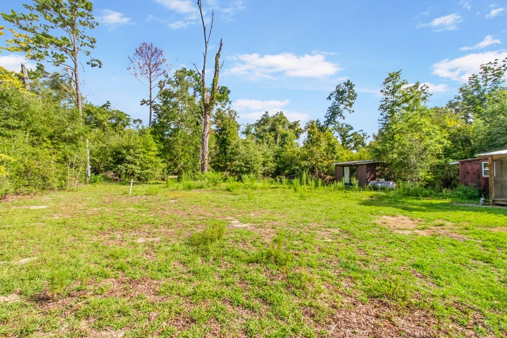 Undisclosed Address Gordon, AL 36343 - Photo 8 of 22