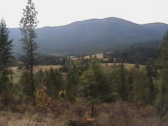 19-xx 19-xx Swiss Valley Road Addy, WA 99101 - Photo 1 of 5 Gallery Image 1