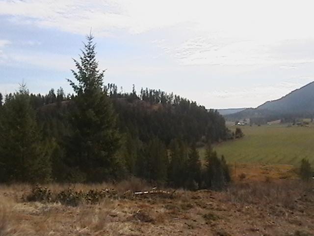 19-xx 19-xx Swiss Valley Road Addy, WA 99101 - Photo 3 of 5 Gallery Image 3