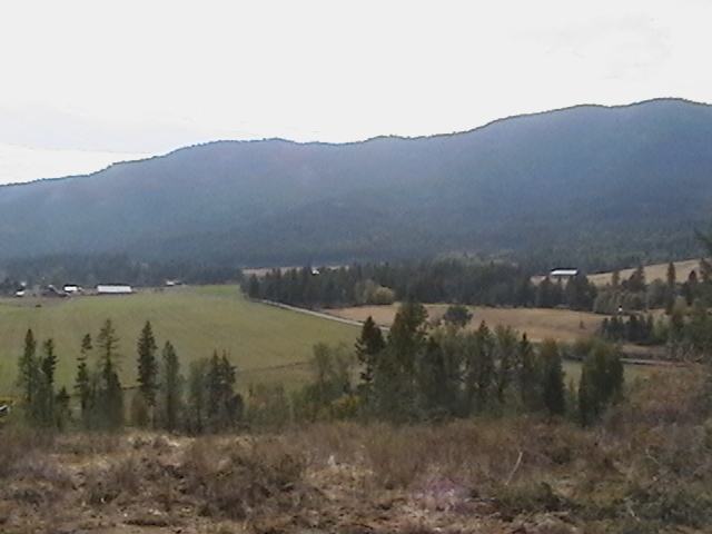 19-xx 19-xx Swiss Valley Road Addy, WA 99101 - Photo 4 of 5 Gallery Image 4