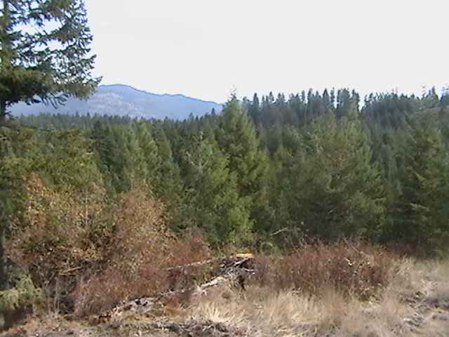 19-xx 19-xx Swiss Valley Road Addy, WA 99101 - Photo 5 of 5 Gallery Image 5