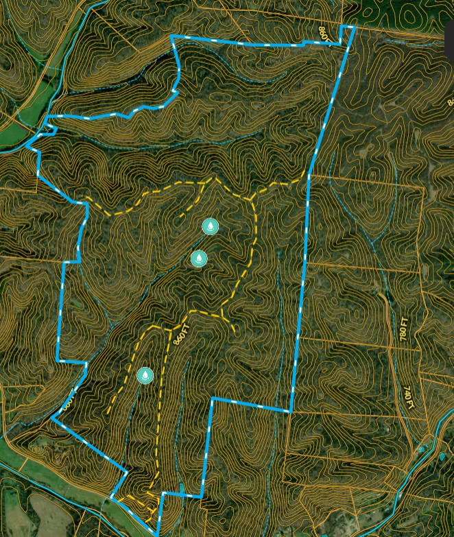 1 Cane Creek Road Hohenwald, TN 38462 - Photo 3 of 26 a picture of a tennis court