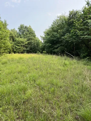 a view of outdoor space and yard