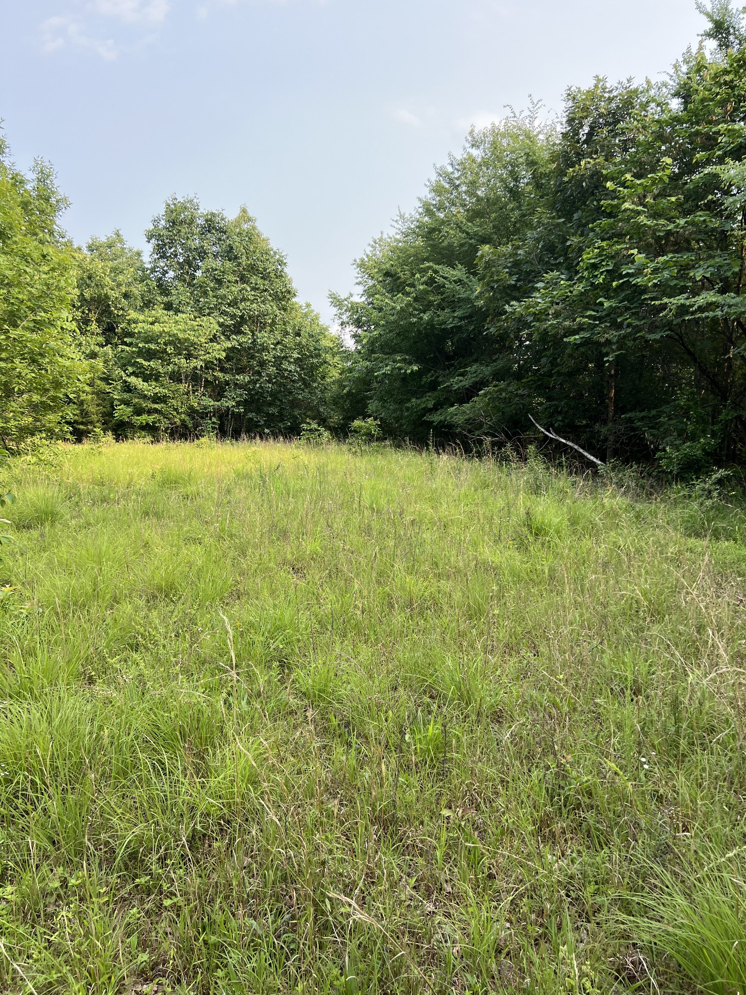 1 Cane Creek Road Hohenwald, TN 38462 - Photo 6 of 26 a view of outdoor space and yard