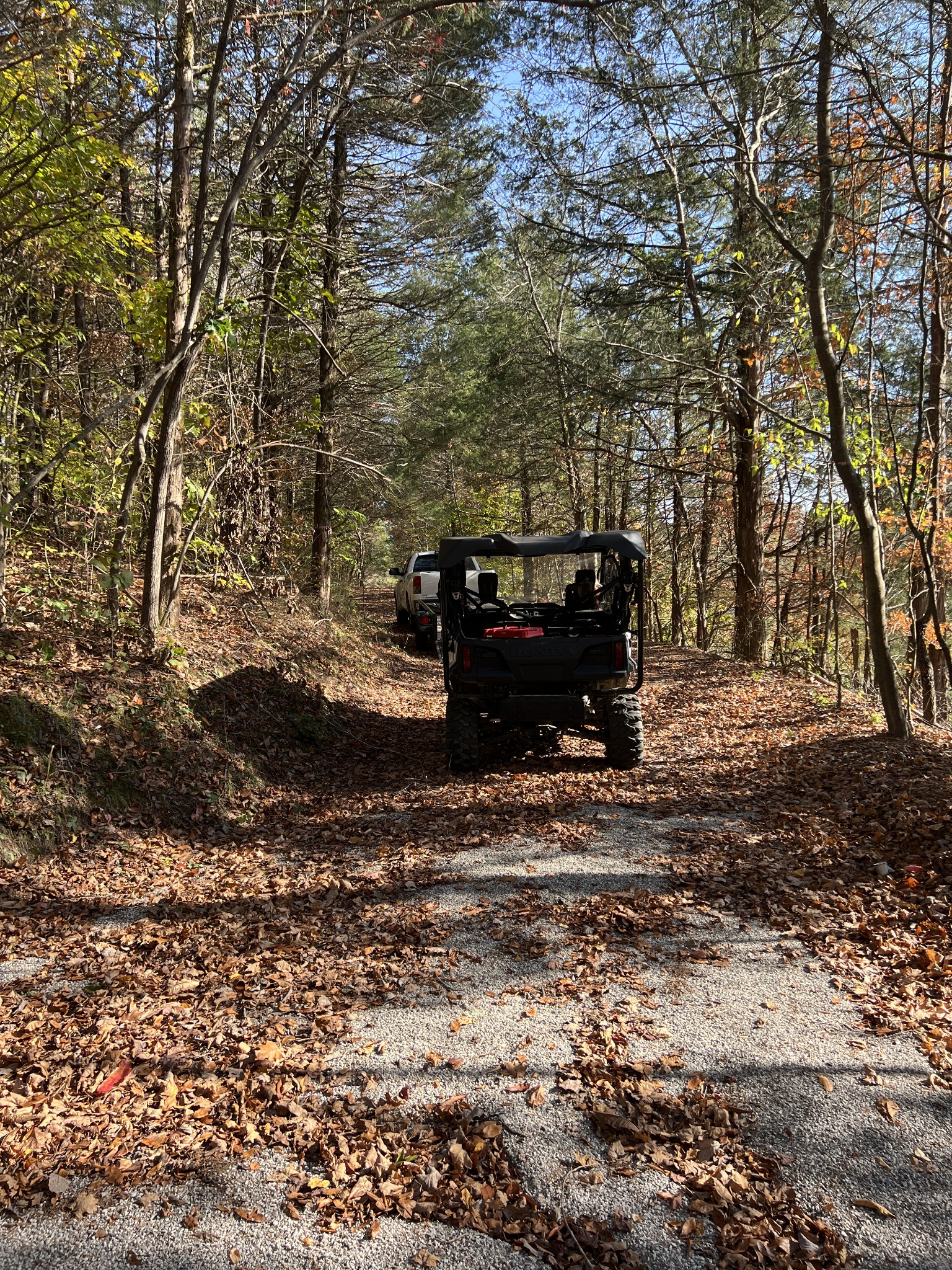 1 Cane Creek Road Hohenwald, TN 38462 - Photo 8 of 26 a view of a yard with large trees
