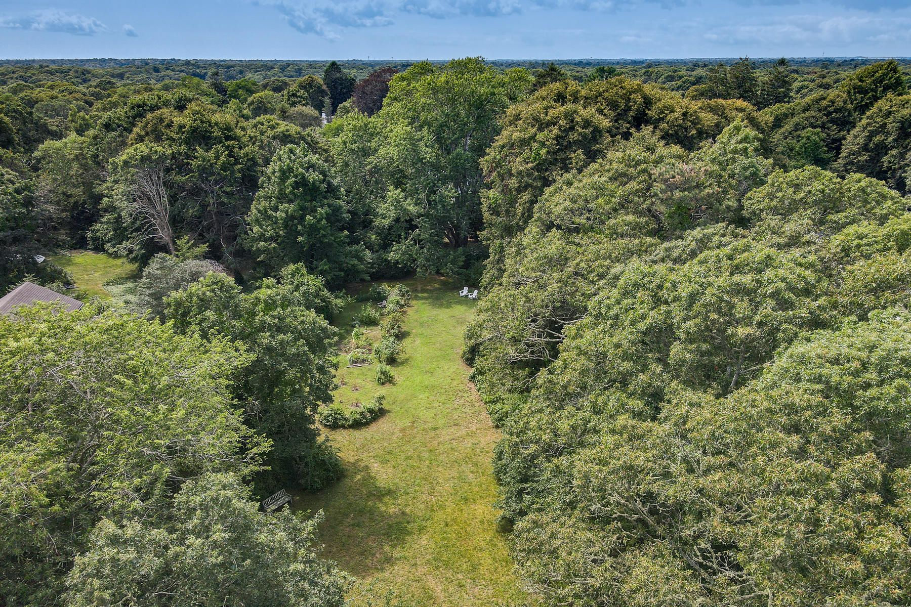 118 Old Stage Road Centerville, MA 02632 - Photo 3 of 41 a view of a forest with a street