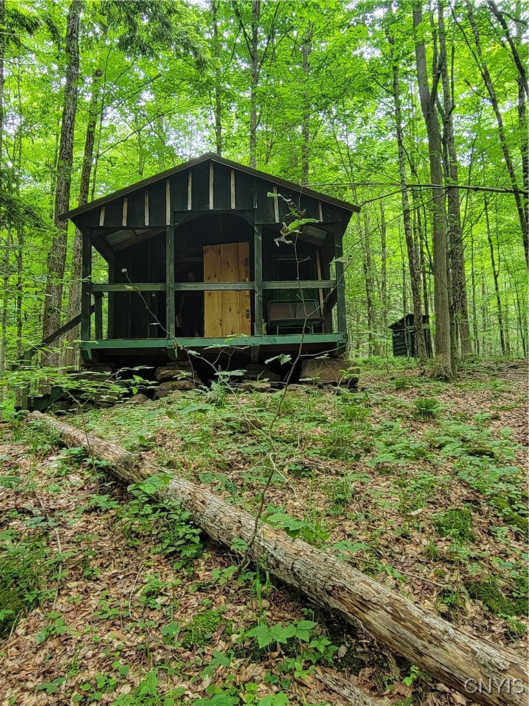 Keppy Carr Road Williamstown, NY 13493 - Photo 2 of 13