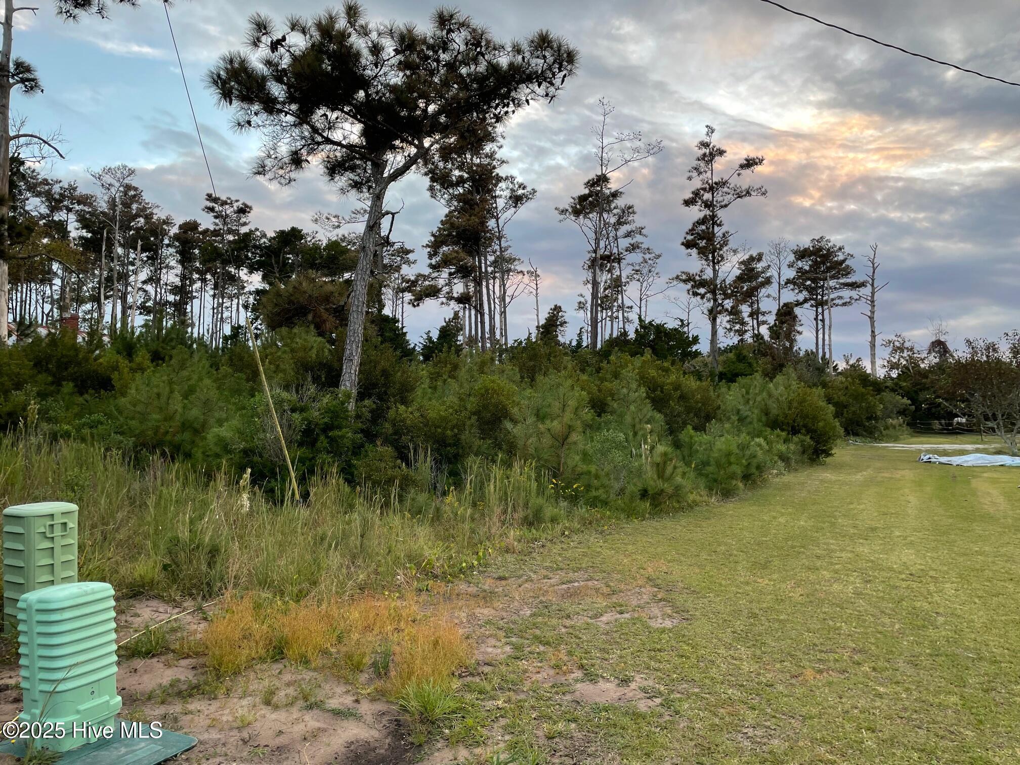 3019 Cedar Island Road Cedar Island, NC 28520 - Photo 2 of 3 Looking in from the side of the lot