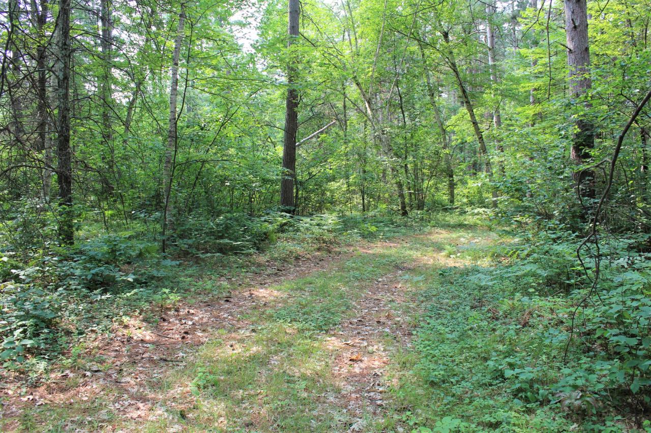 9974 Abe Road Tomahawk, WI 54487 - Photo 52 of 61 Gallery Image 52
