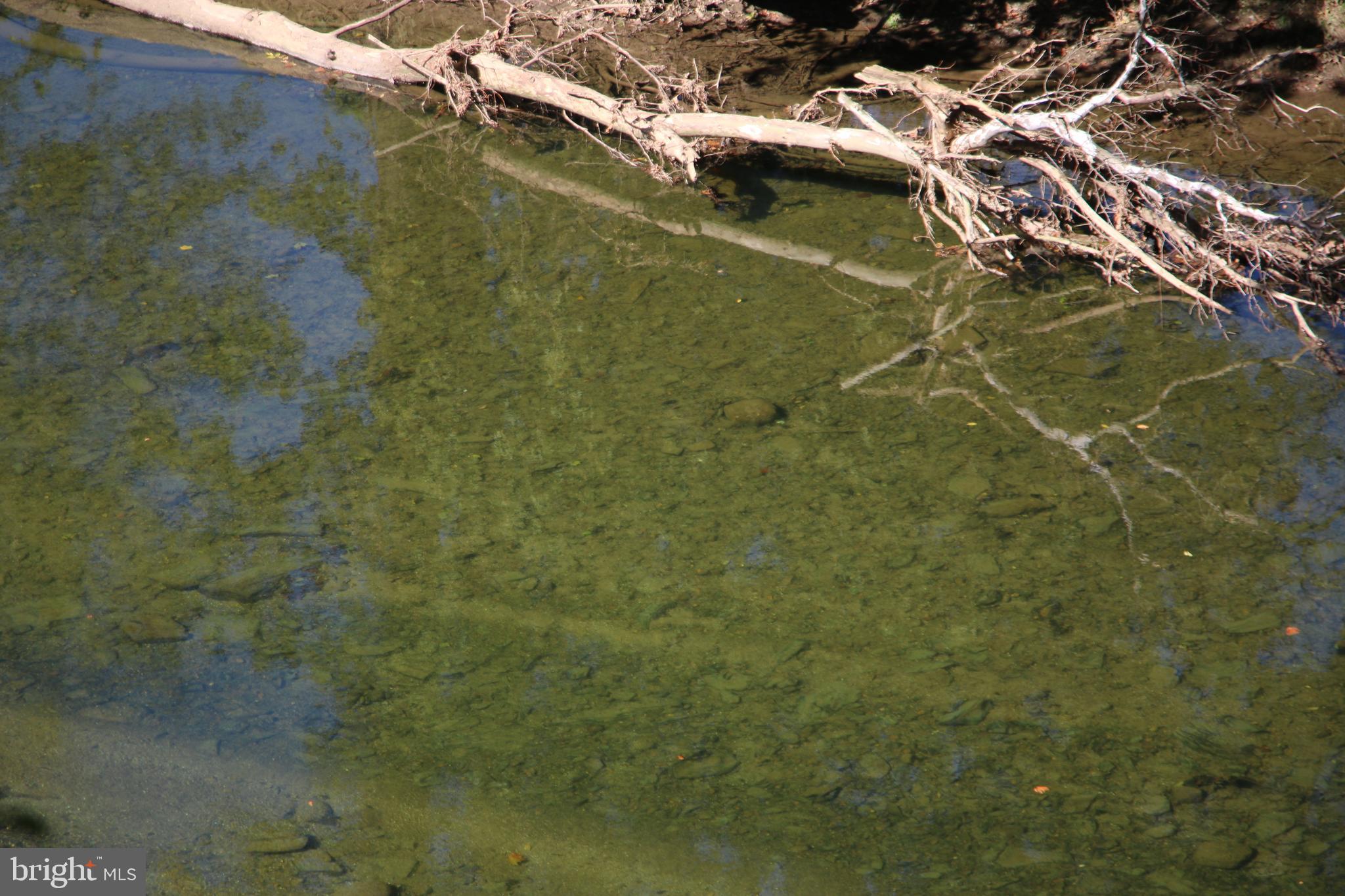 Sadlick Strasburg, VA 22657 - Photo 14 of 26