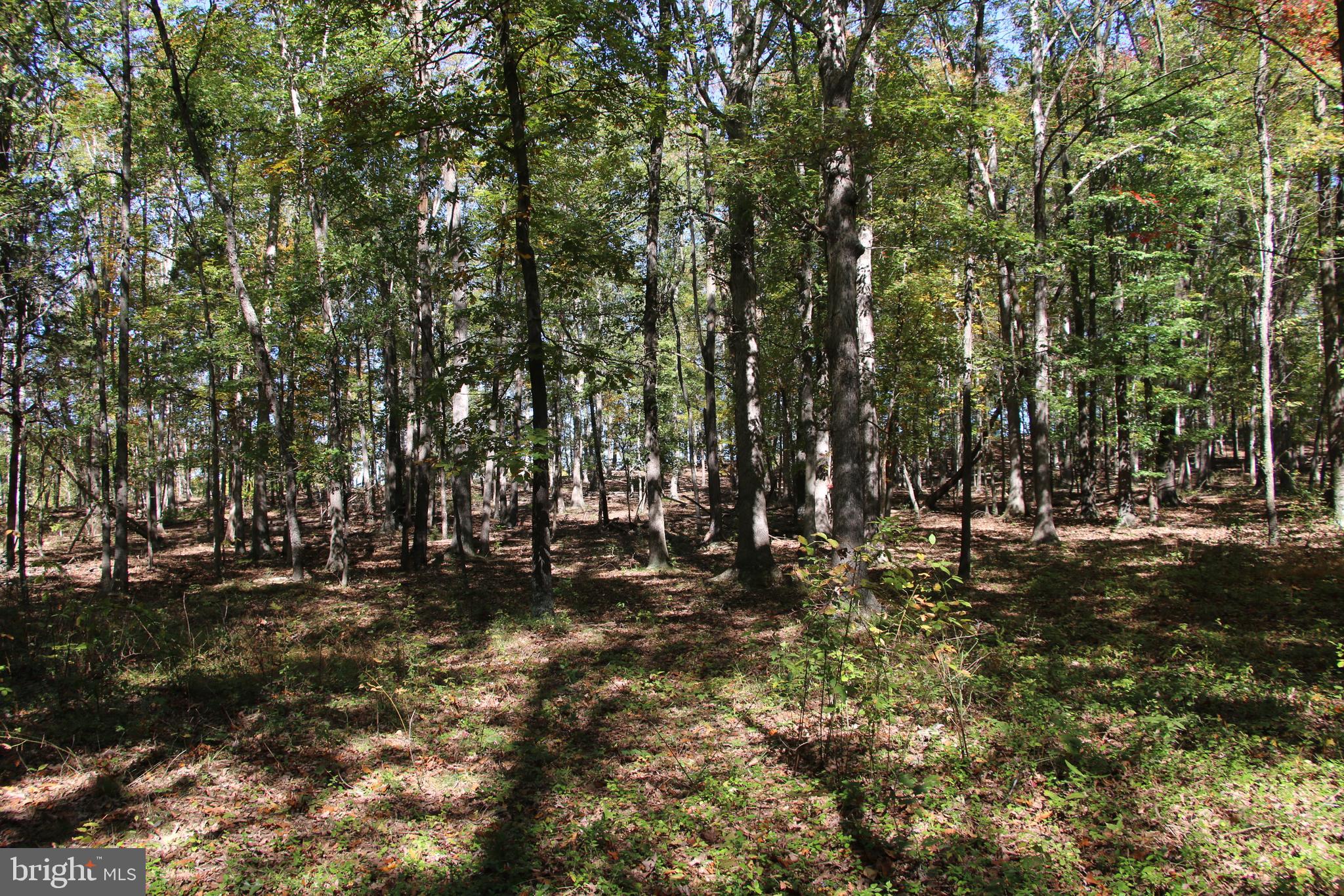 Sadlick Strasburg, VA 22657 - Photo 15 of 26