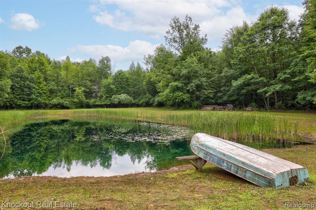 6275 Caine Road Vassar, MI 48768 - Photo 47 of 69