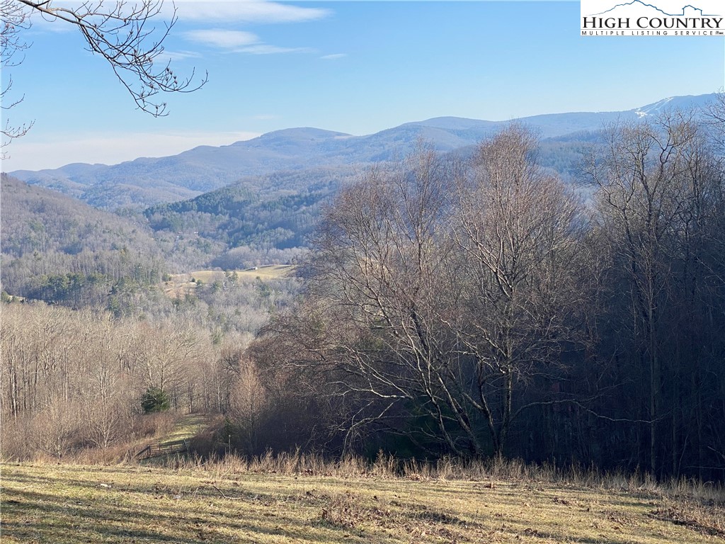 Smith Henson Road Sugar Grove, NC 28679 - Photo 1 of 32 Gallery Image 1