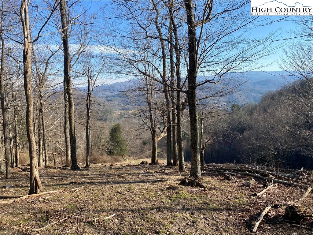Smith Henson Road Sugar Grove, NC 28679 - Photo 13 of 32 Gallery Image 13