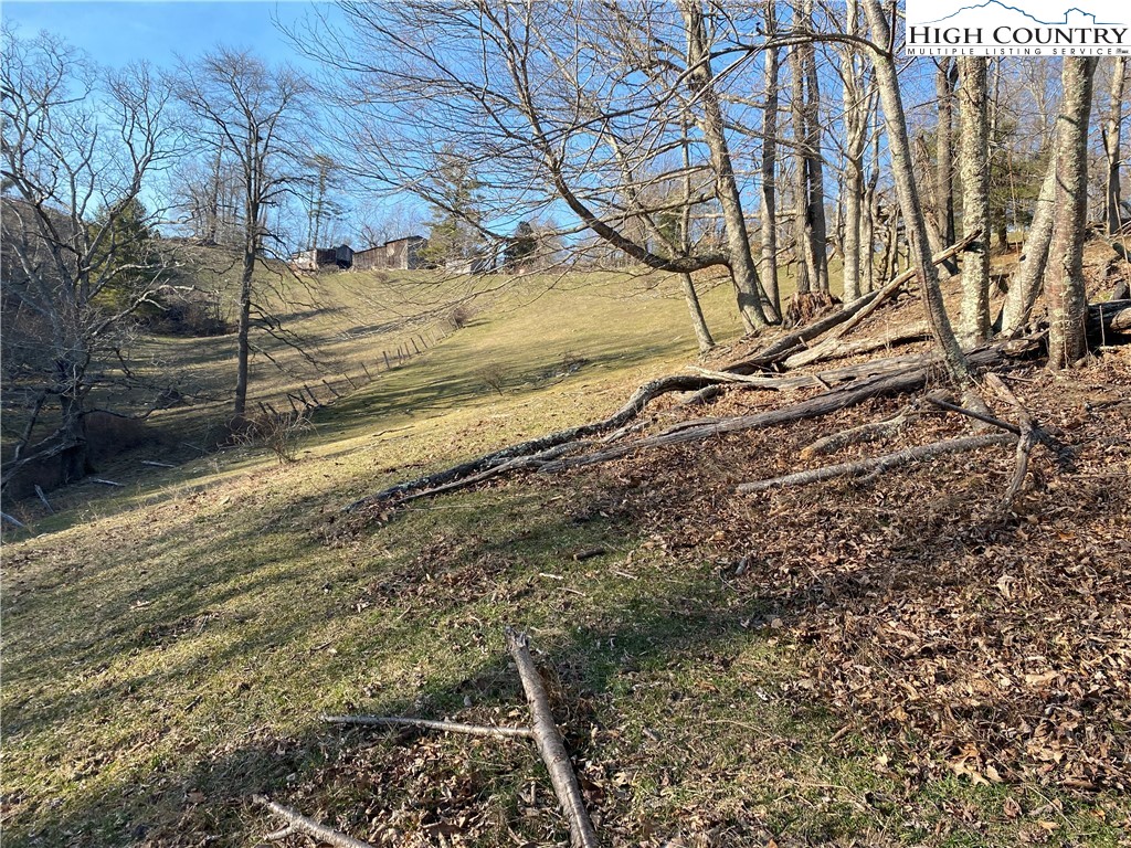 Smith Henson Road Sugar Grove, NC 28679 - Photo 15 of 32 Gallery Image 15