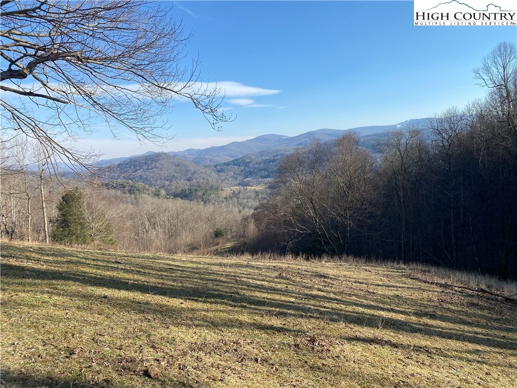 Smith Henson Road Sugar Grove, NC 28679 - Photo 16 of 32 Gallery Image 16