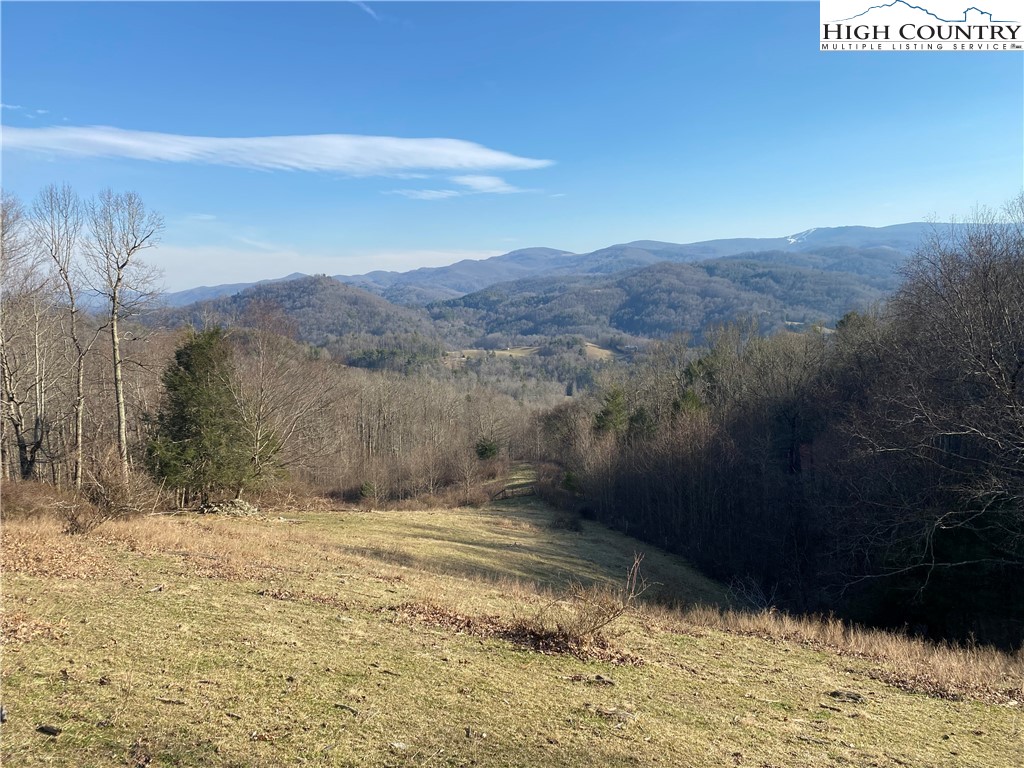 Smith Henson Road Sugar Grove, NC 28679 - Photo 17 of 32 Gallery Image 17