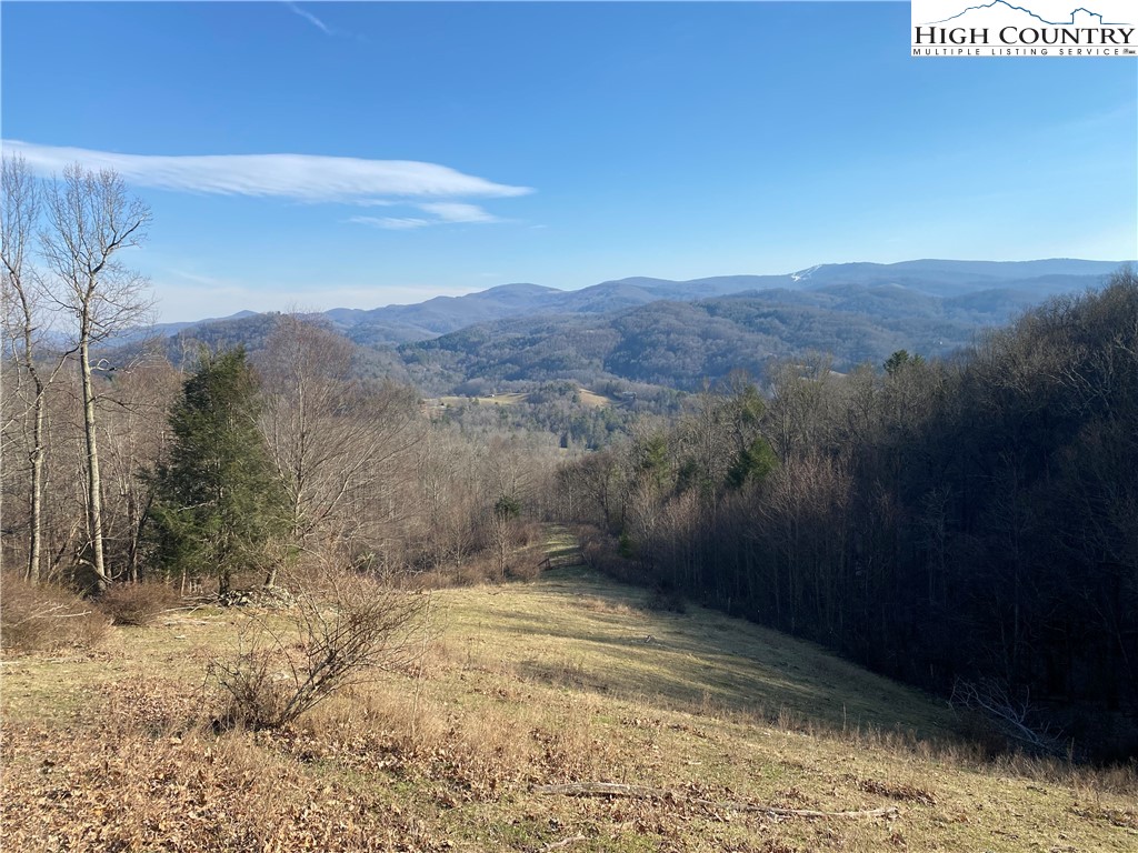 Smith Henson Road Sugar Grove, NC 28679 - Photo 19 of 32 Gallery Image 19