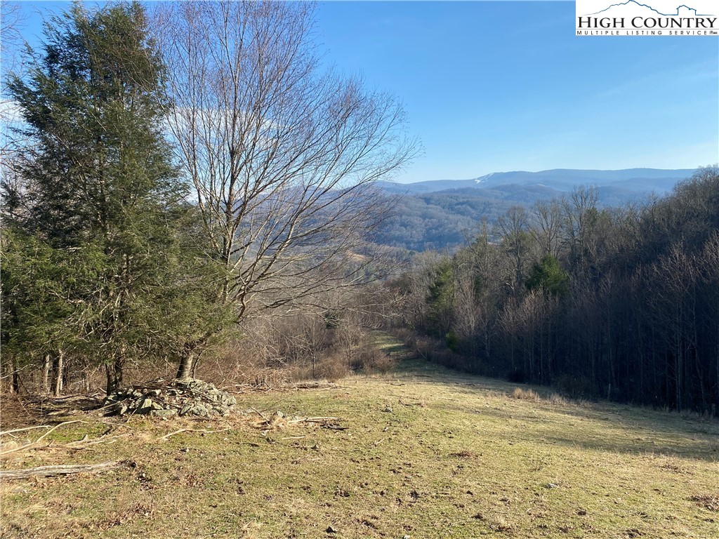 Smith Henson Road Sugar Grove, NC 28679 - Photo 20 of 32 Gallery Image 20