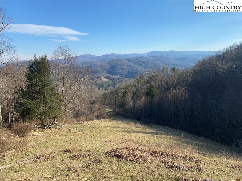 Smith Henson Road Sugar Grove, NC 28679 - Photo 2 of 32 Gallery Image 2