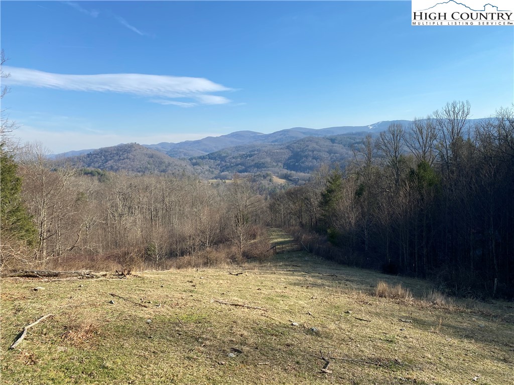 Smith Henson Road Sugar Grove, NC 28679 - Photo 22 of 32 Gallery Image 22