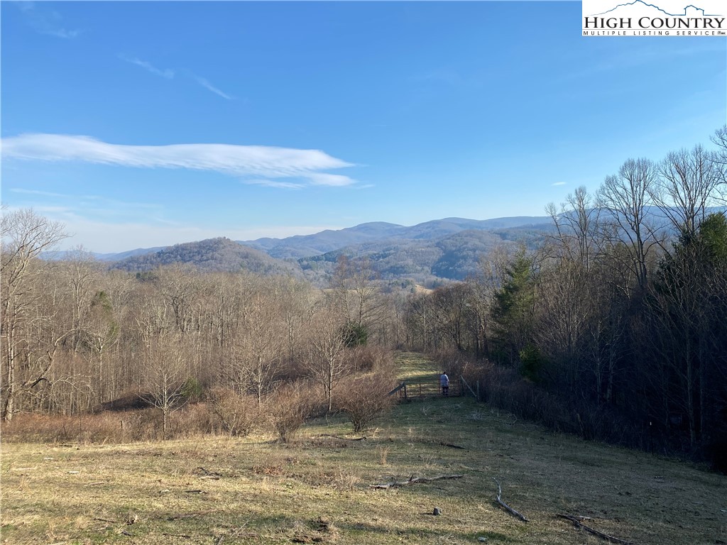Smith Henson Road Sugar Grove, NC 28679 - Photo 23 of 32 Gallery Image 23