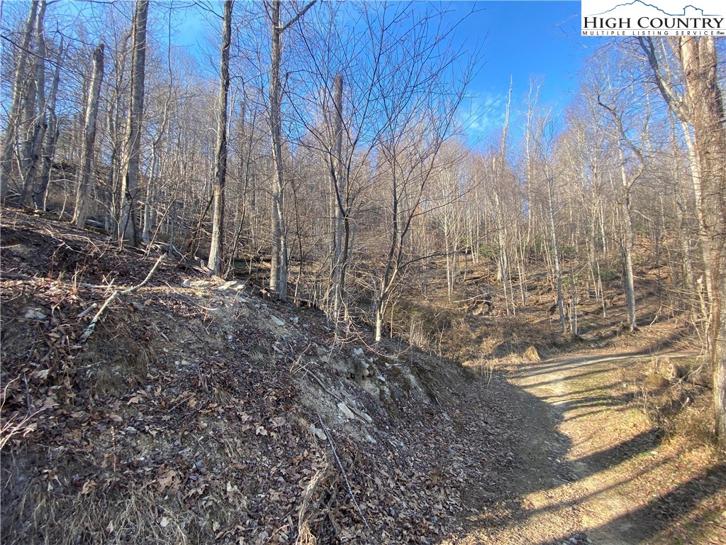 Smith Henson Road Sugar Grove, NC 28679 - Photo 25 of 32 Gallery Image 25