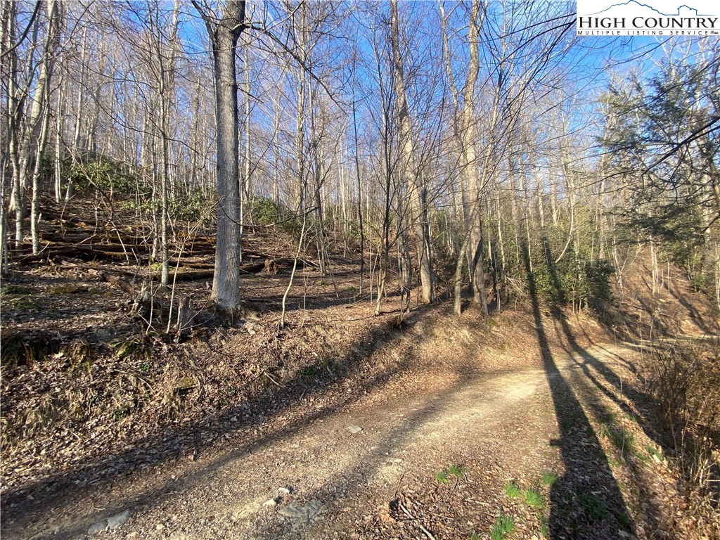 Smith Henson Road Sugar Grove, NC 28679 - Photo 26 of 32 Gallery Image 26