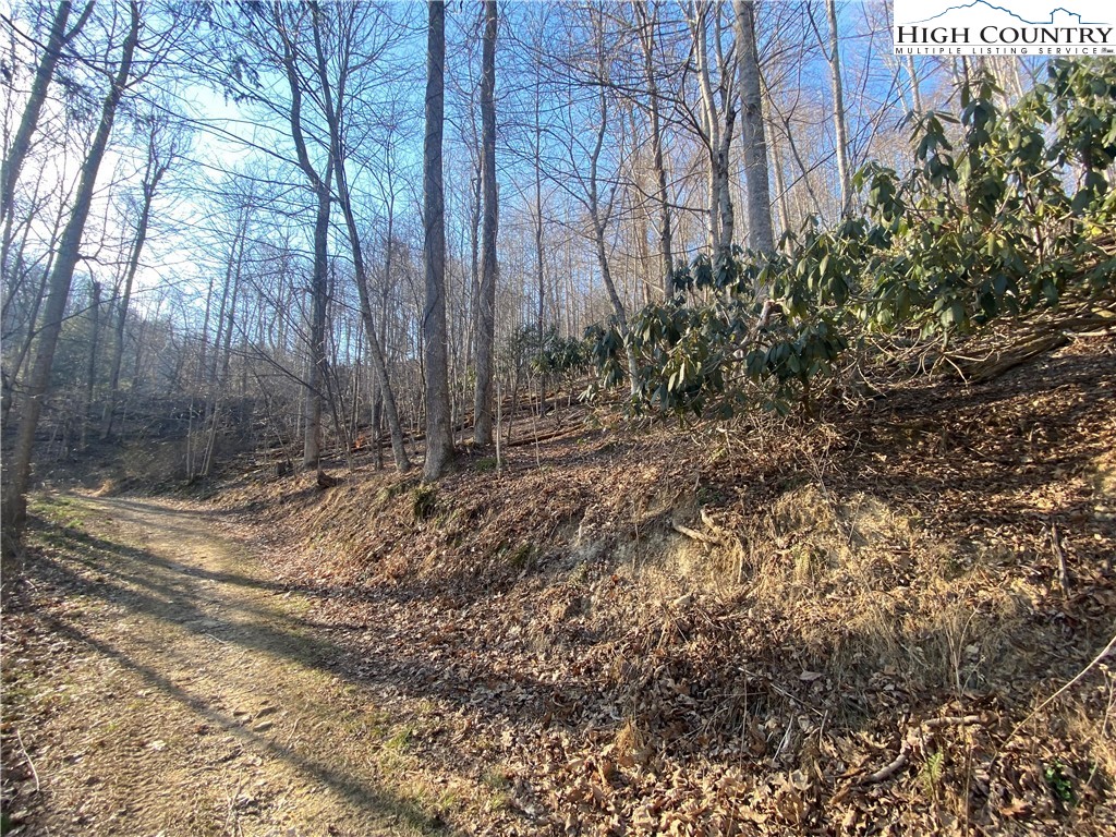 Smith Henson Road Sugar Grove, NC 28679 - Photo 27 of 32 Gallery Image 27