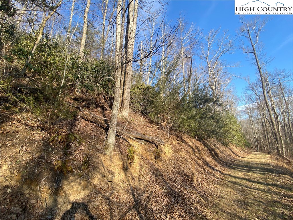Smith Henson Road Sugar Grove, NC 28679 - Photo 28 of 32 Gallery Image 28