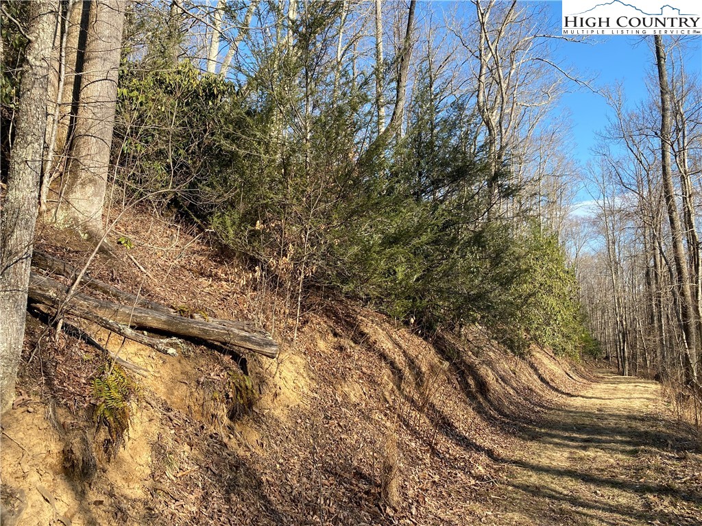 Smith Henson Road Sugar Grove, NC 28679 - Photo 29 of 32 Gallery Image 29