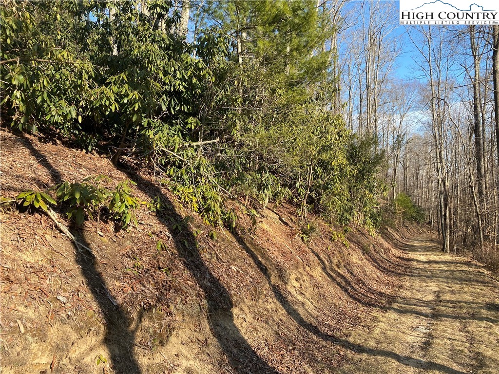 Smith Henson Road Sugar Grove, NC 28679 - Photo 30 of 32 Gallery Image 30