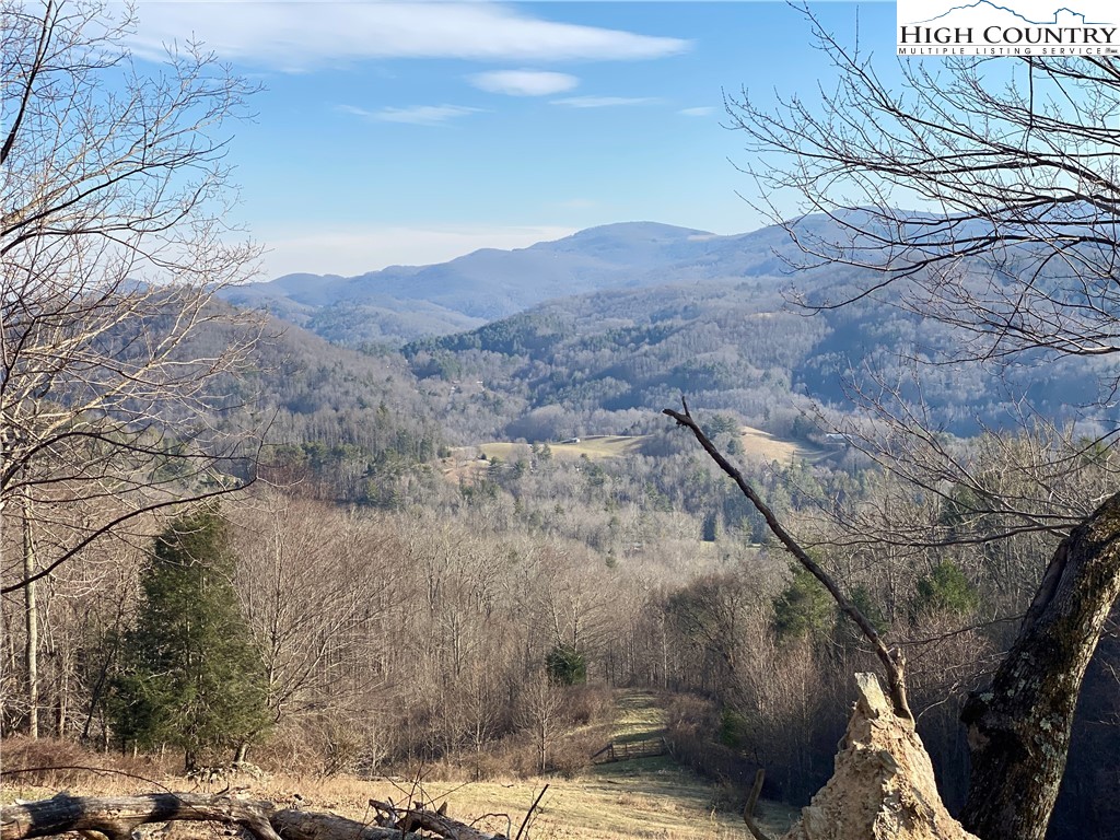 Smith Henson Road Sugar Grove, NC 28679 - Photo 3 of 32 Gallery Image 3