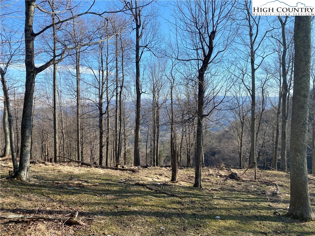 Smith Henson Road Sugar Grove, NC 28679 - Photo 10 of 32 Gallery Image 10