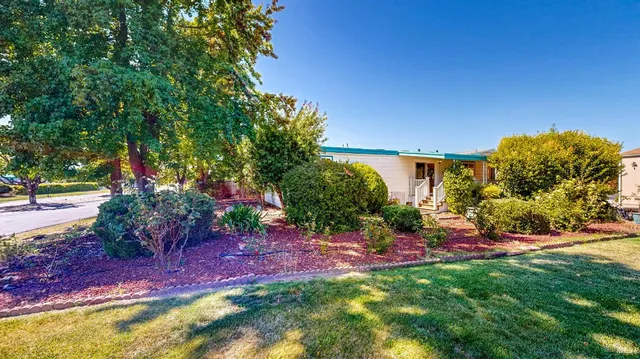 a view of a yard with a tree