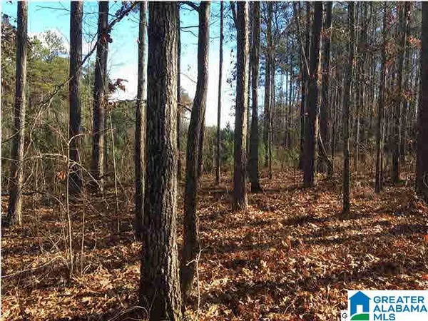 $28,204 | 57 Bells Lane, Unit 57, Springville, AL 35146