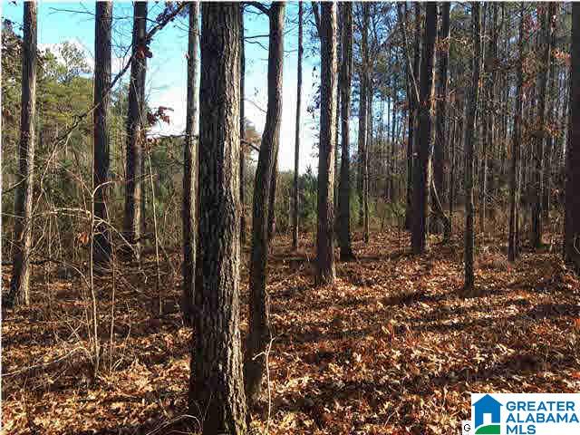 56 Bells Lane, Unit 56 Springville, AL 35146 - Photo 1 of 2