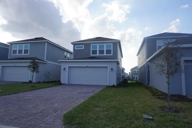 a view of a forest with a tree