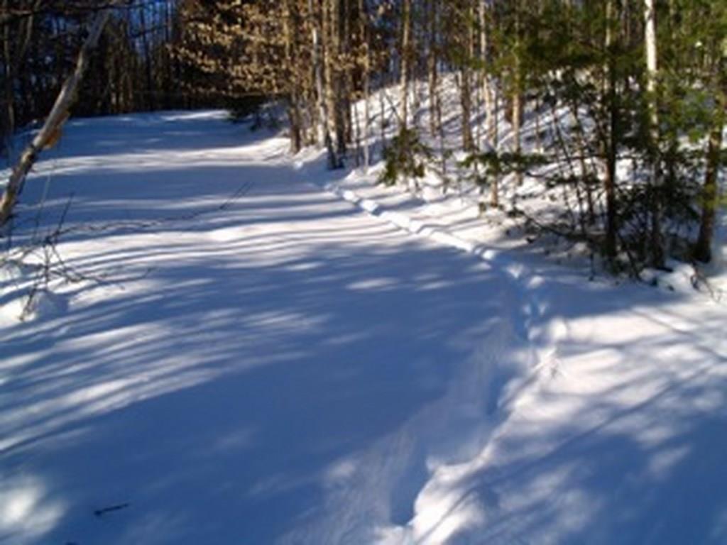305 Winn Road Lee, ME 04455 - Photo 5 of 17 Photo