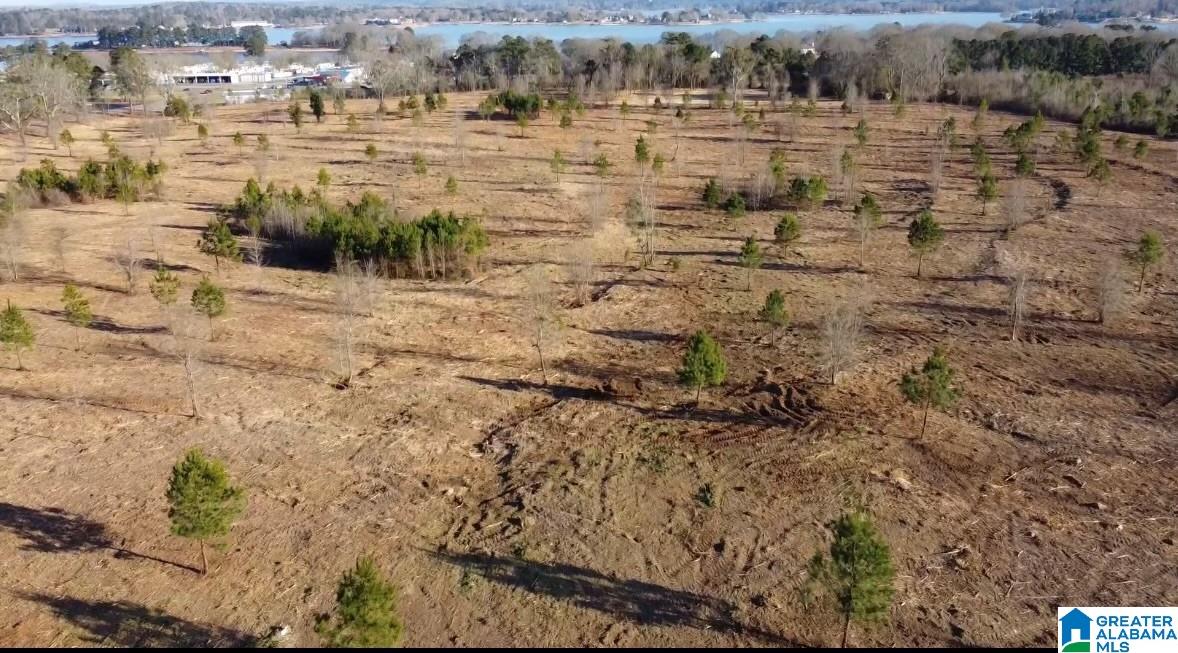 100 Easonville Road Cropwell, AL 35054 - Photo 2 of 4