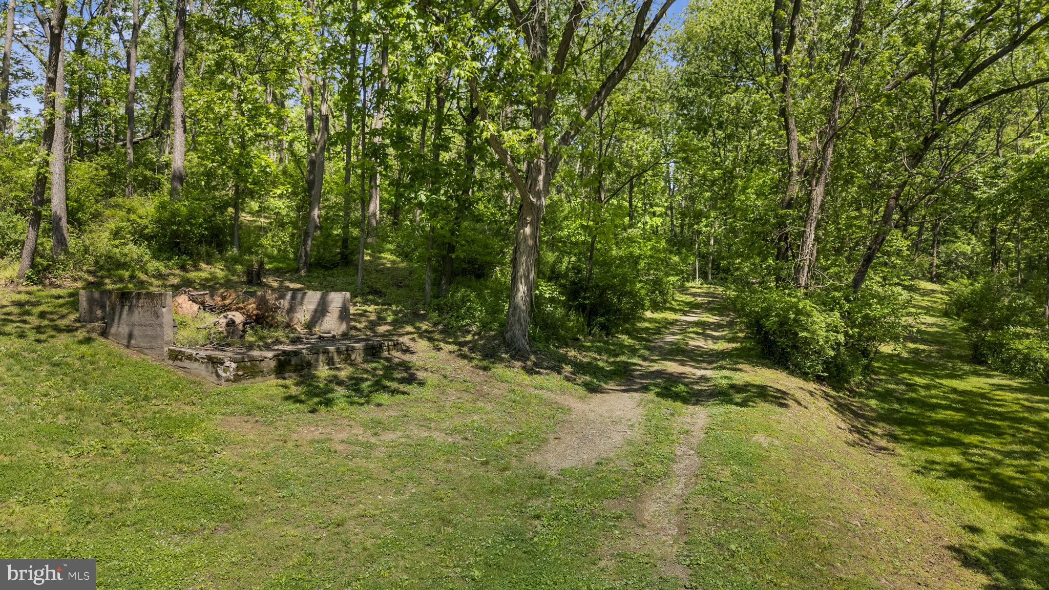 111 Garfield Road Leesport, PA 19533 - Photo 11 of 46 Serene woodland path awaits exploration.