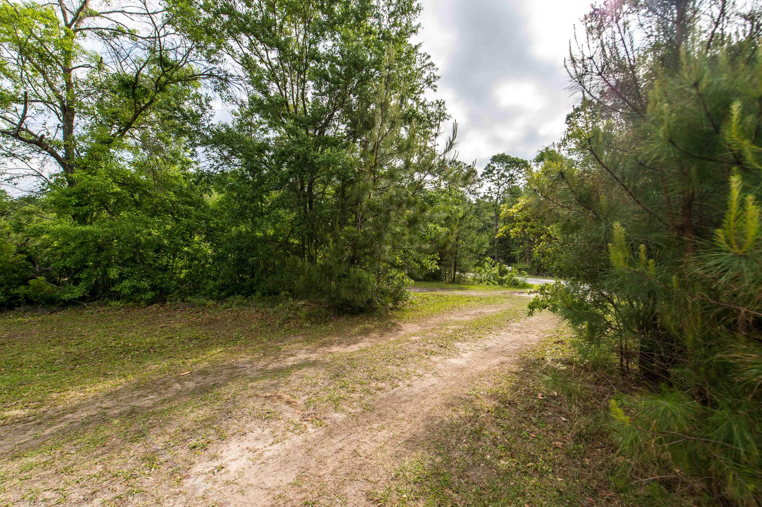 3044 Cane Slash Road Johns Island, SC 29455 - Photo 11 of 30 3044 Cane Slash_Low Res-30