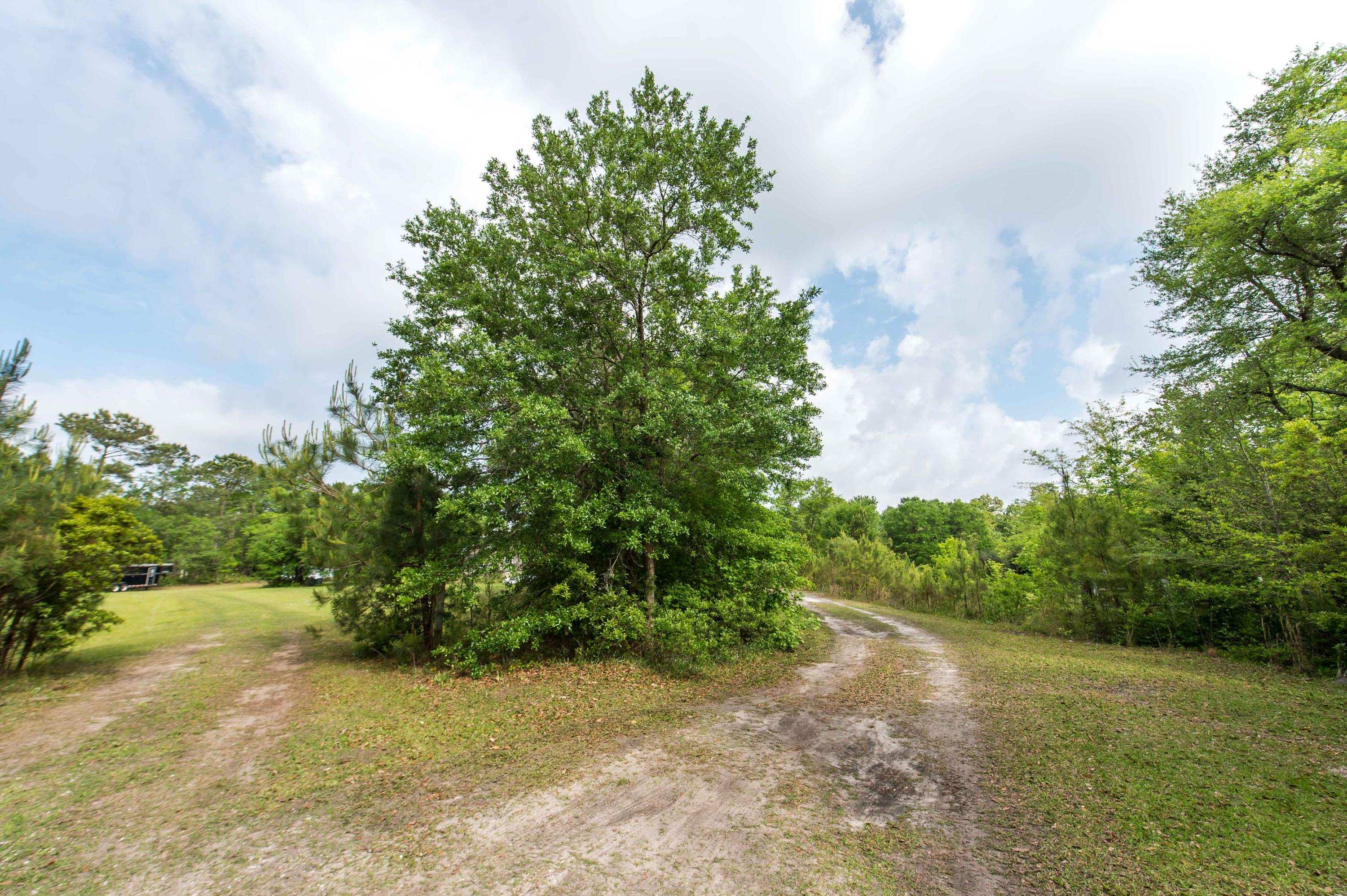 3044 Cane Slash Road Johns Island, SC 29455 - Photo 13 of 30 3044 Cane Slash_Low Res-32